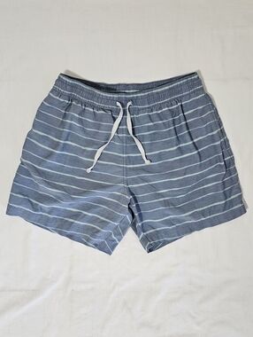 Chubbies Men’s Small 5.5” Inseam Striped Stretch Lined Shorts Blue